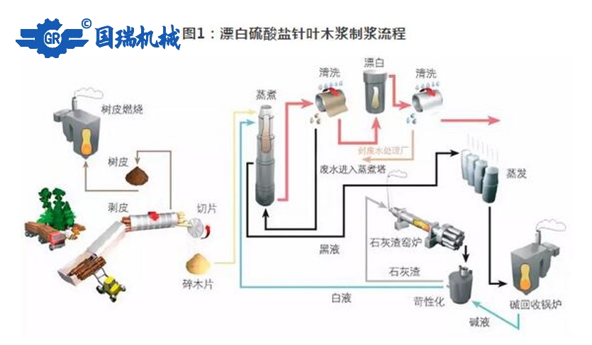 國瑞機械：紙漿的生產(chǎn)流程和應(yīng)用